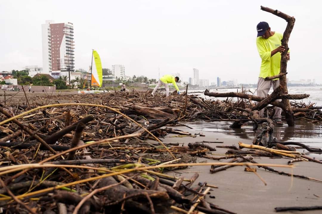 Retiran entre 250 y 300 toneladas diarias de palizada y basura de las playas de Boca del Río