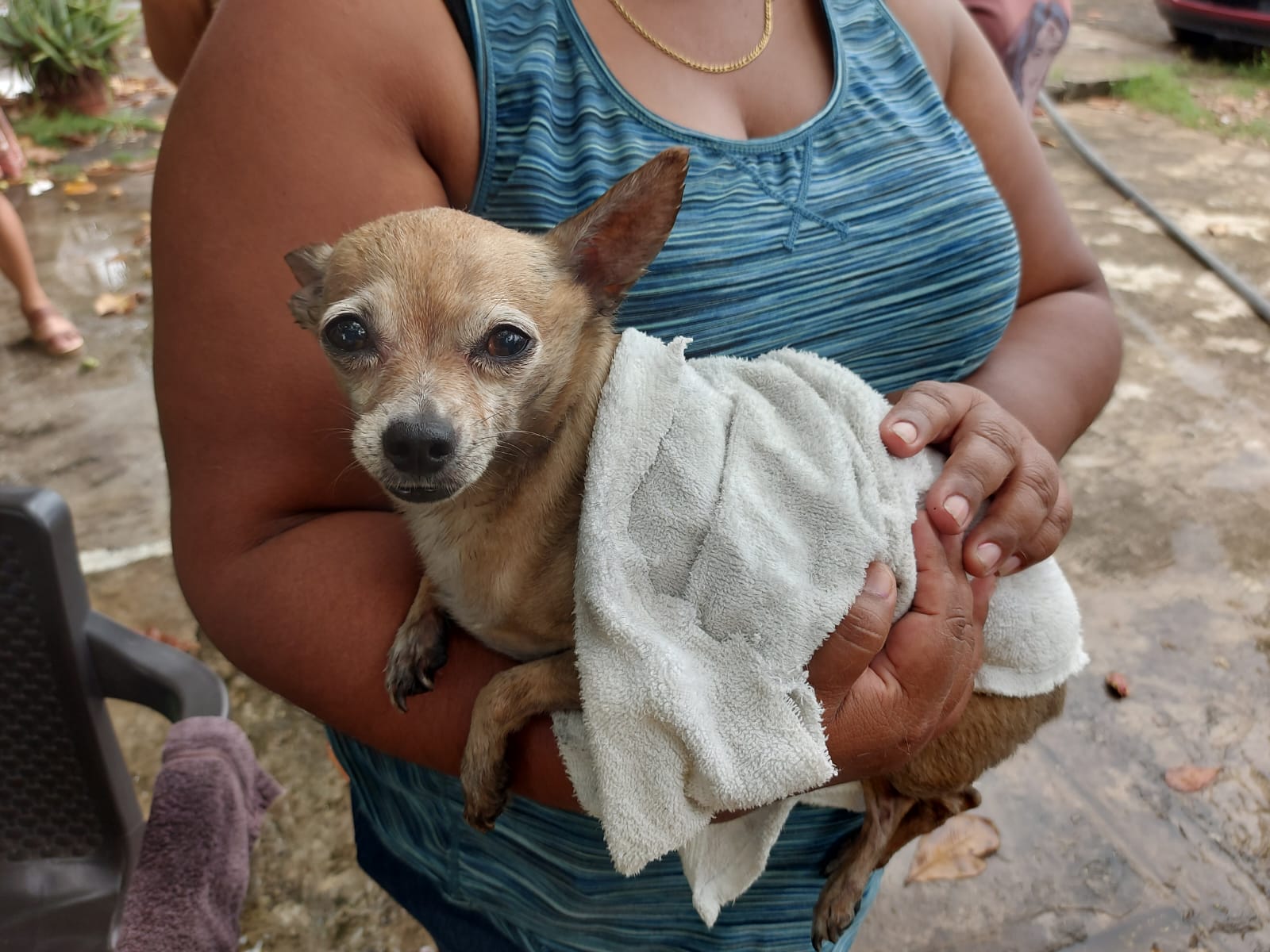 Mascota muere en incendio de vivienda en el Infonavit Las Brisas