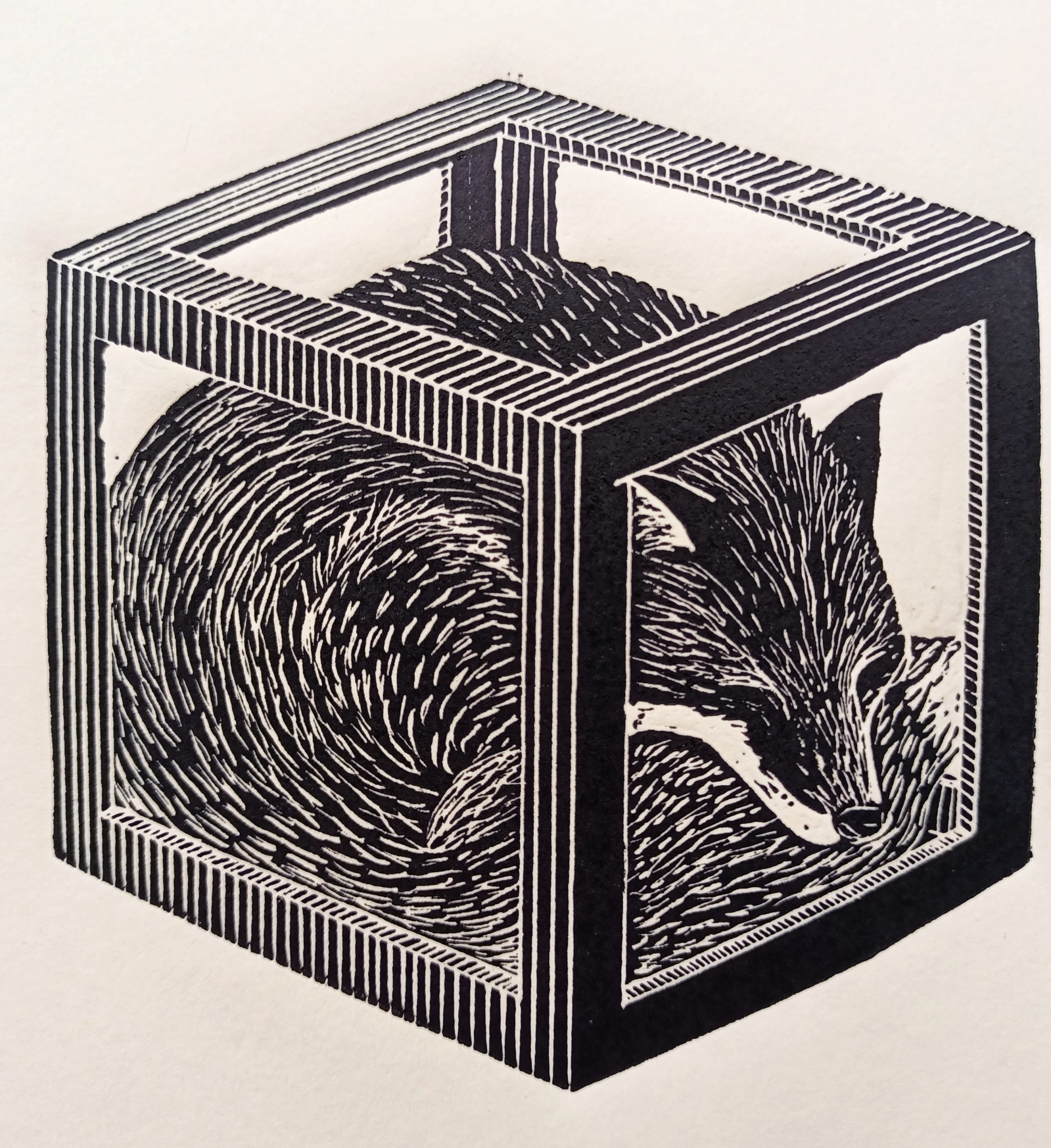 En el JEX se inaugura la exposición Los animales no pagan impuestos, de Paty Blanco