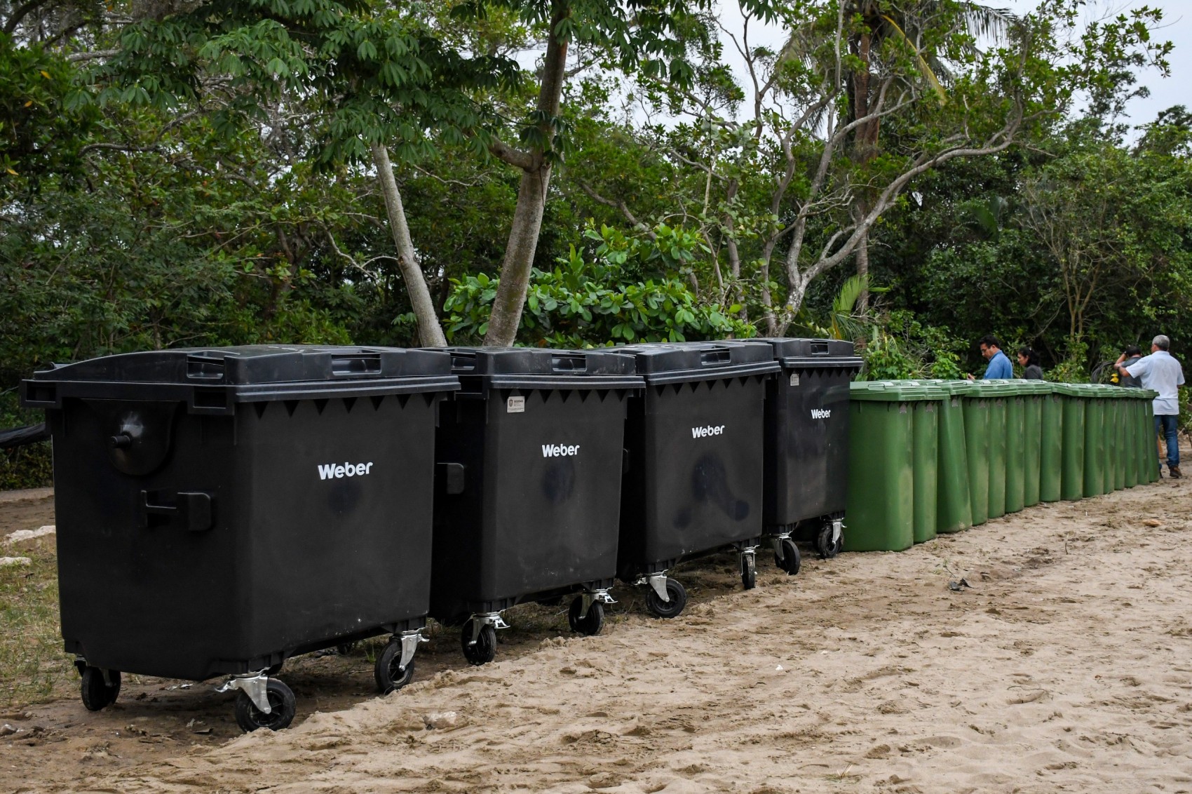 Planta de Compostaje Municipal de Coatzacoalcos recibirá hasta 40 toneladas de residuos verdes