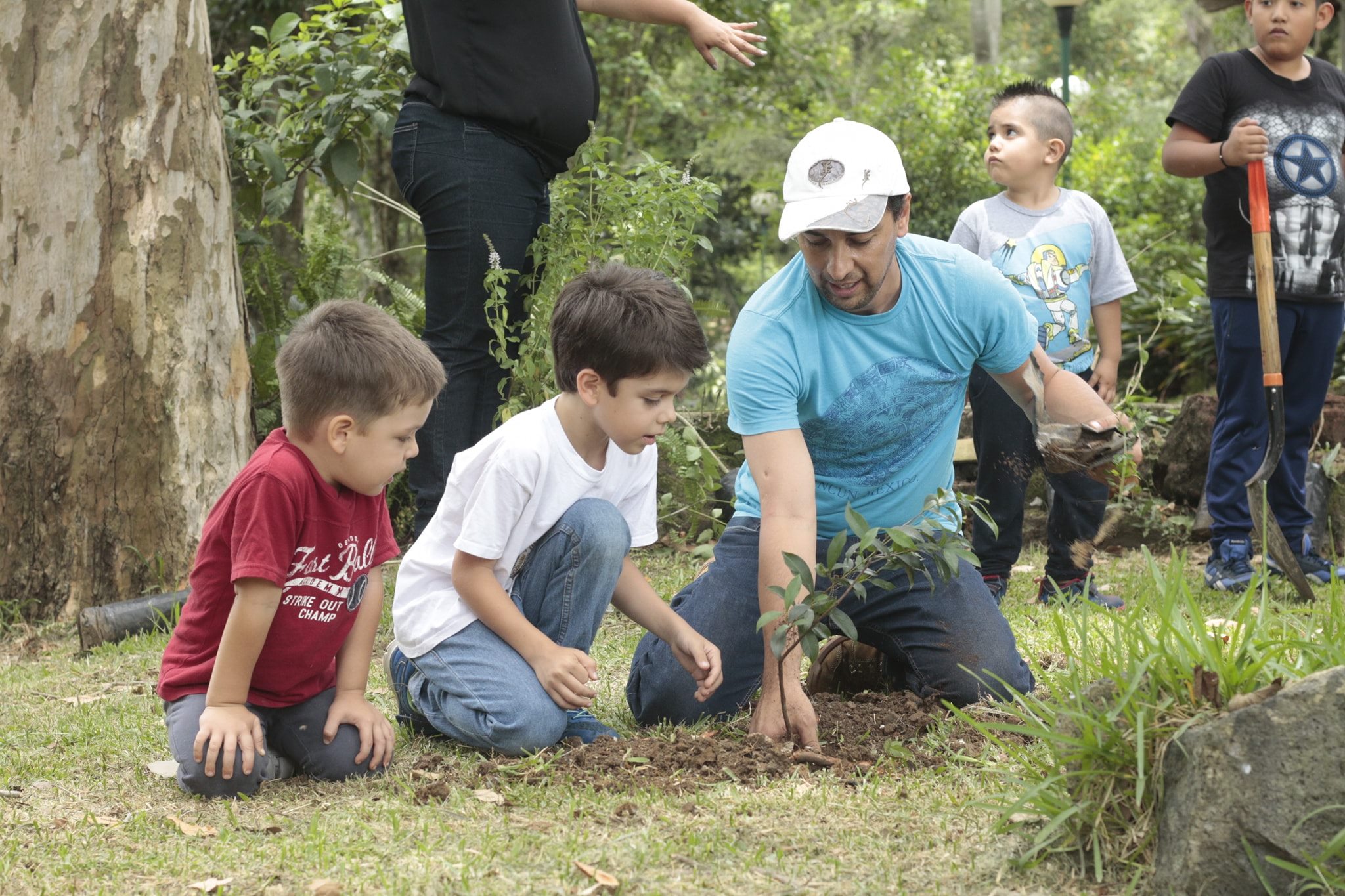 Celebra el Día del Árbol en el Jardín de las Esculturas