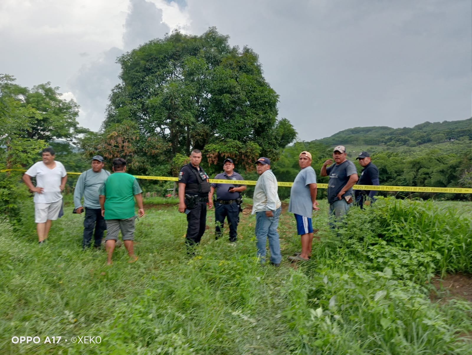 Campesino muere en ataque de abejas en San Andrés Tuxtla