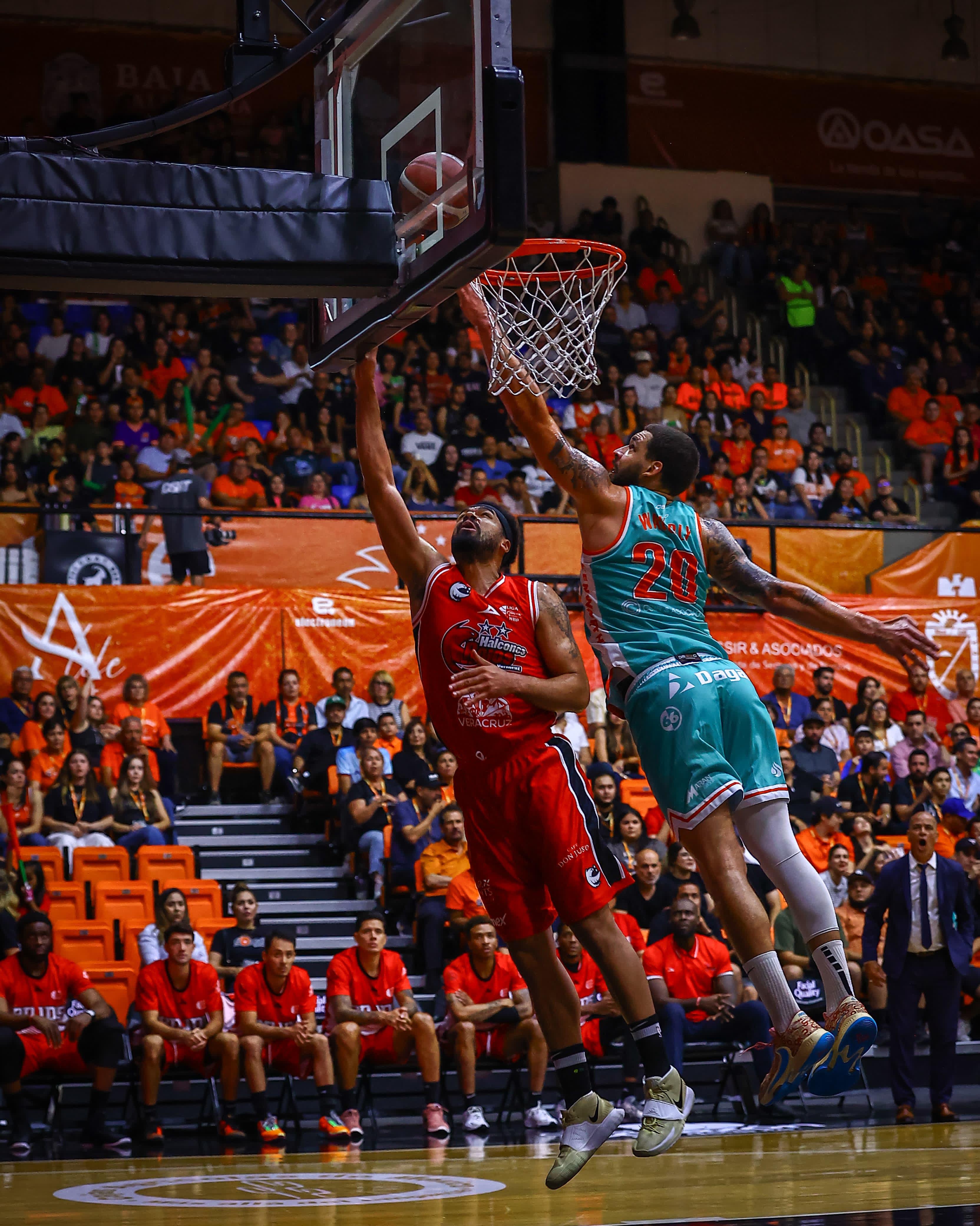 Halcones Rojos entra en acción en la Liga Caliente MX LNBP 2024