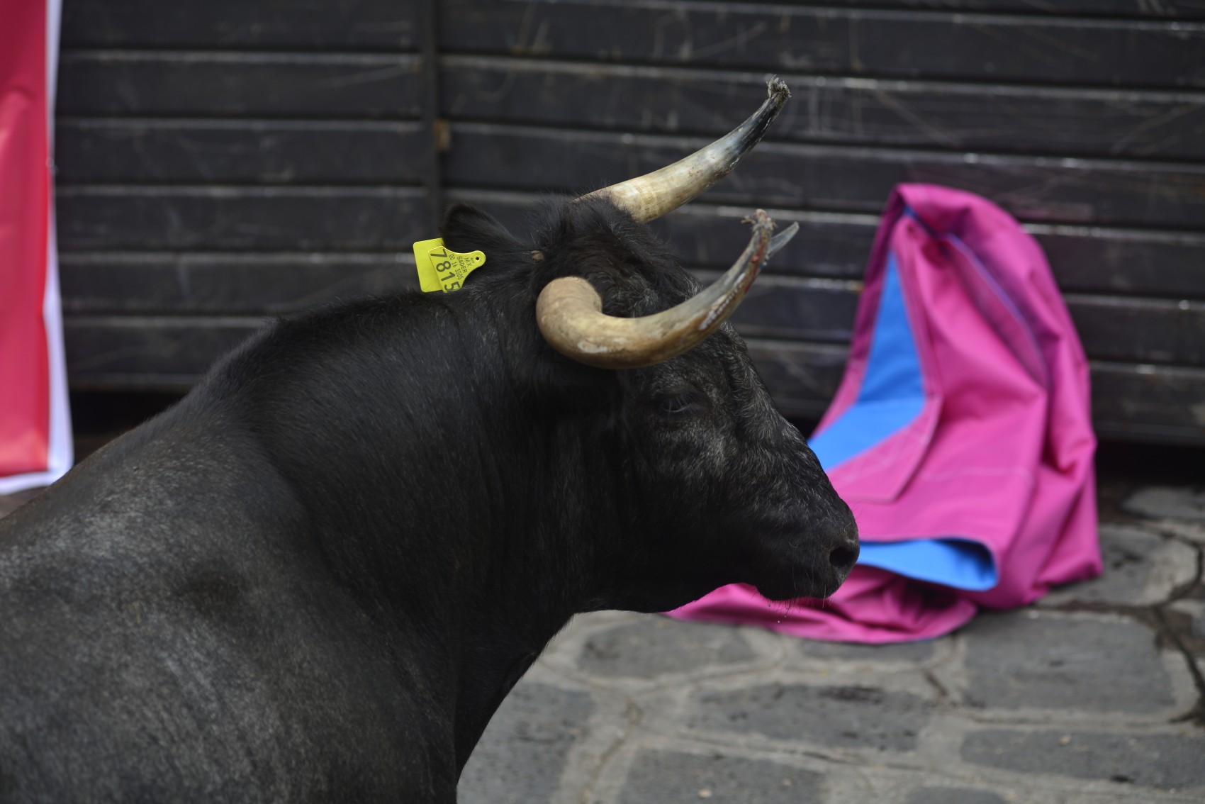 Dos lesionados durante la suelta de toros en Xico