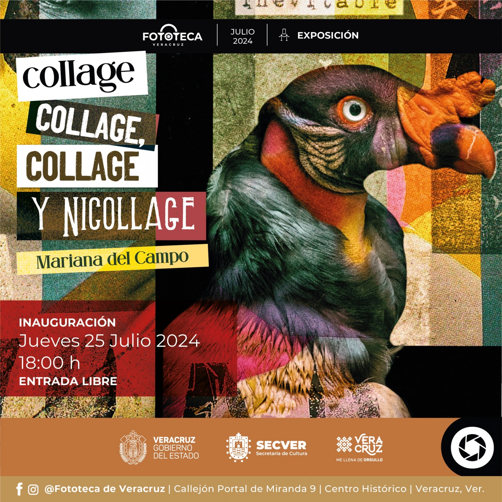 Conoce la exposición Collage, collage, collage y nicollage, de Mariana del Campo