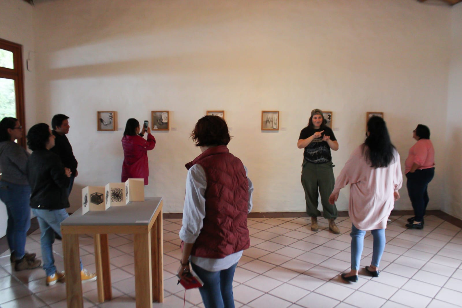 Presenta SECVER la serie virtual “EnSEÑArte: lenguajes artísticos en LSM”