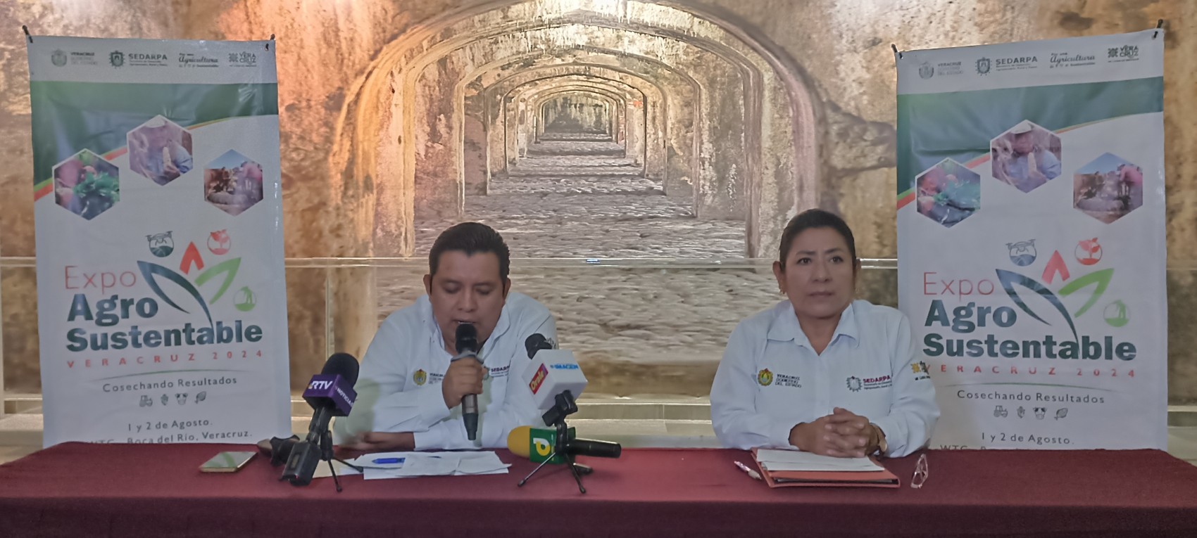 Aseguradora todavía no termina de evaluar daños a cultivos por las olas de calor: Sedarpa