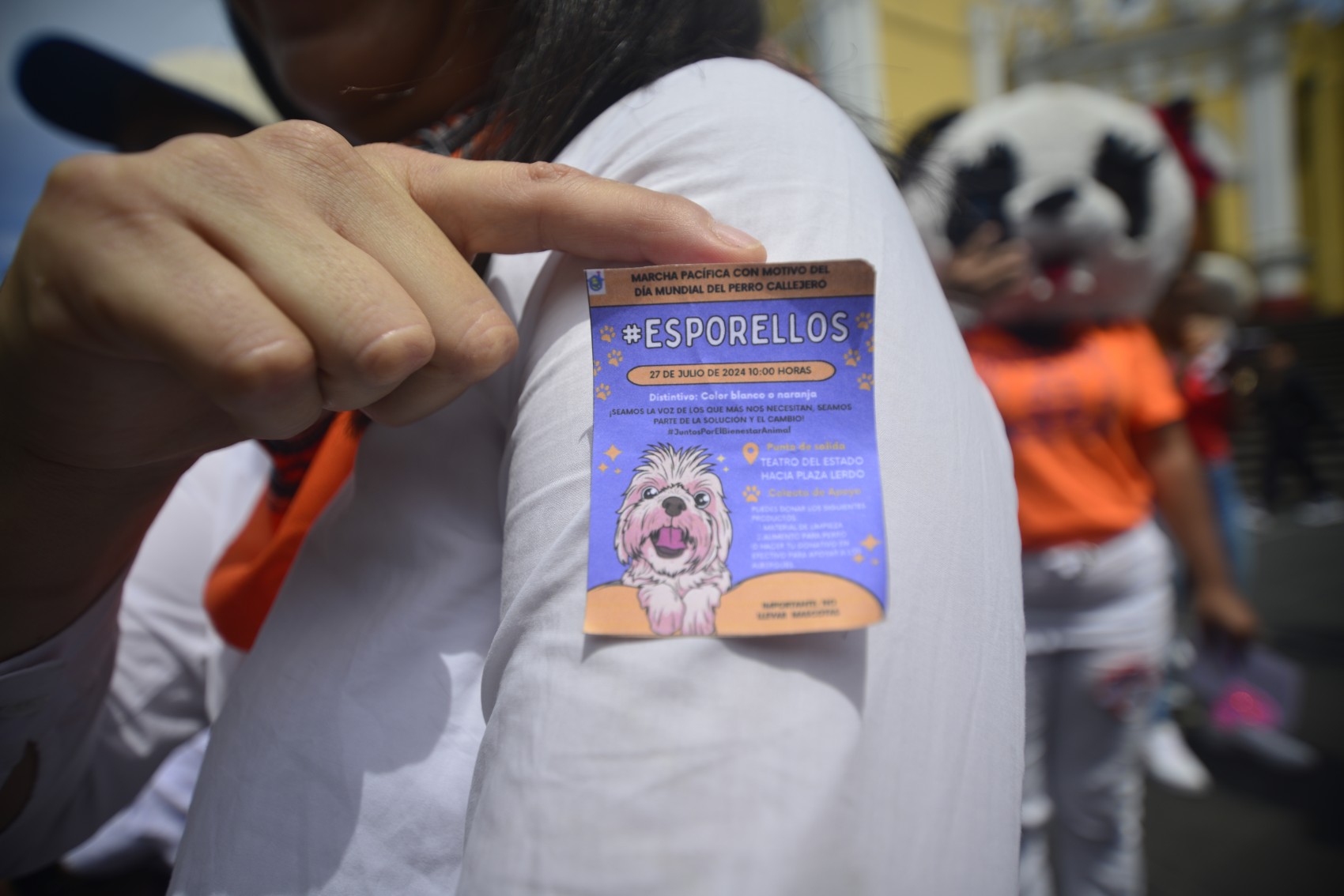 Albergue de animales Ada Azul vive amenazas de vecinos de fraccionamiento