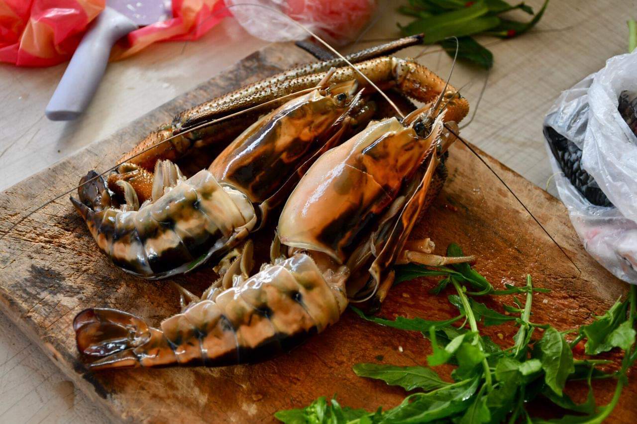 Conoce la cocina tradicional a través de los Encuentros Sabores de Veracruz