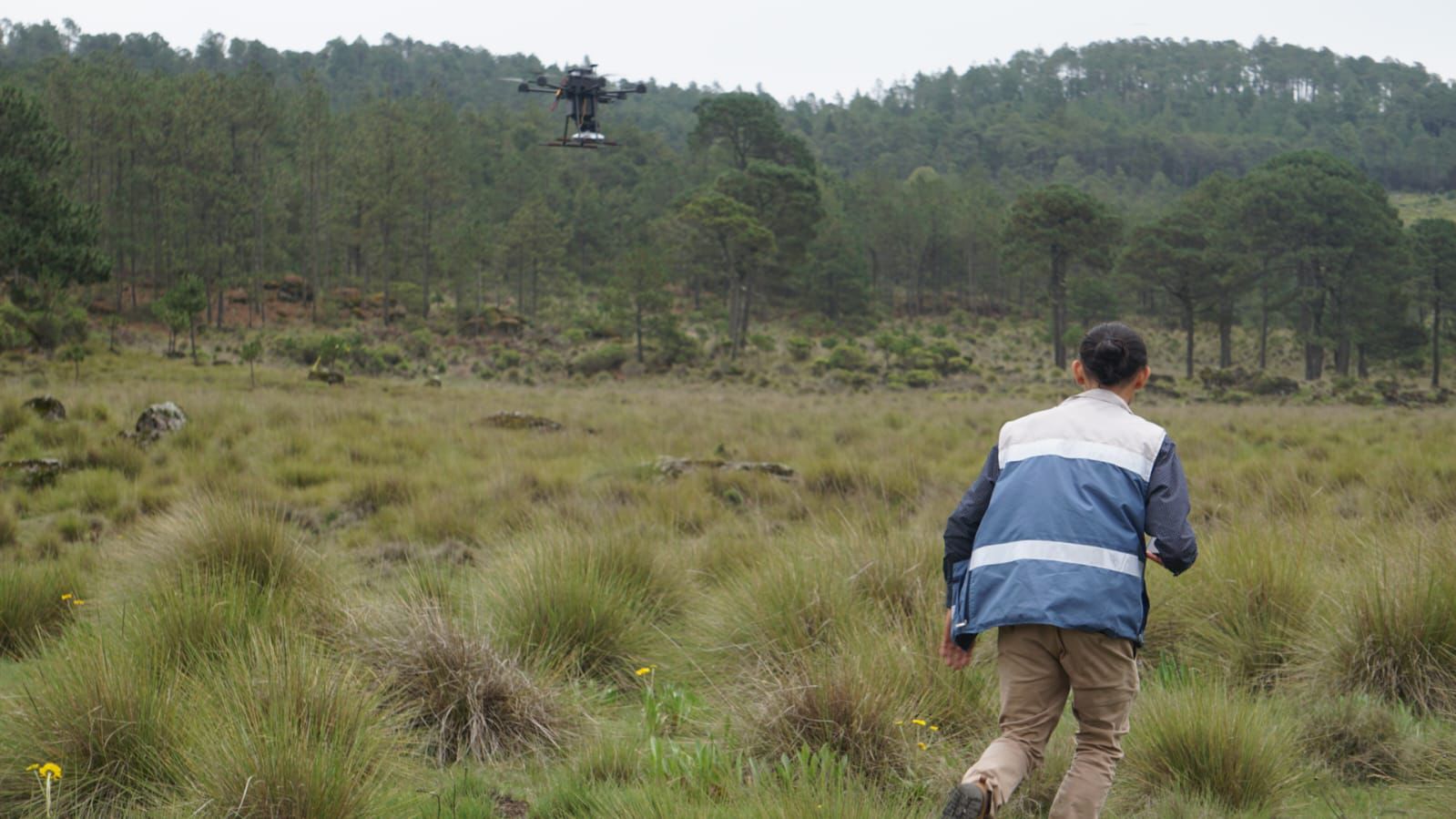 Con drones reforestarán zonas afectadas por incendios en Veracruz