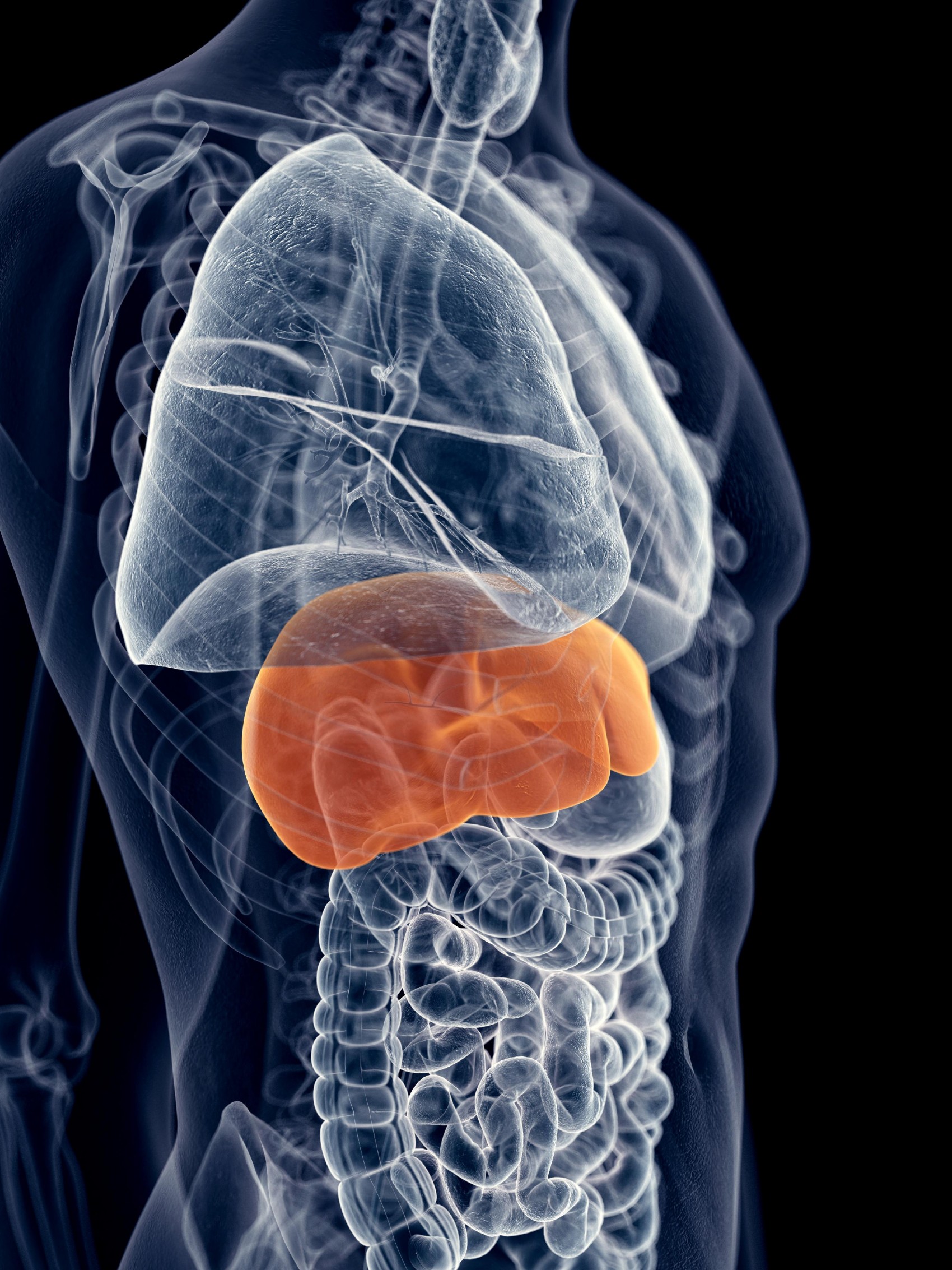 Recomiendan acciones preventivas para evitar daños en hígado y prevenir la hepatitis
