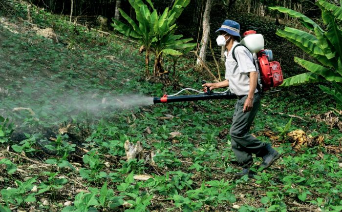 México prohíbe uso de 35 plaguicidas altamente peligrosos para la salud y el medio ambiente