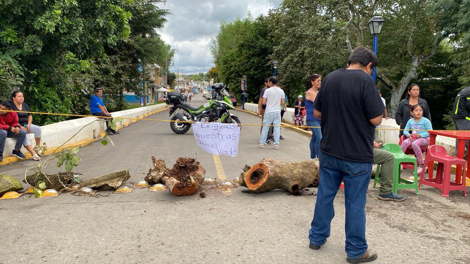 Vecinos quieren salvar árbol de 200 años en colonia 21 de marzo