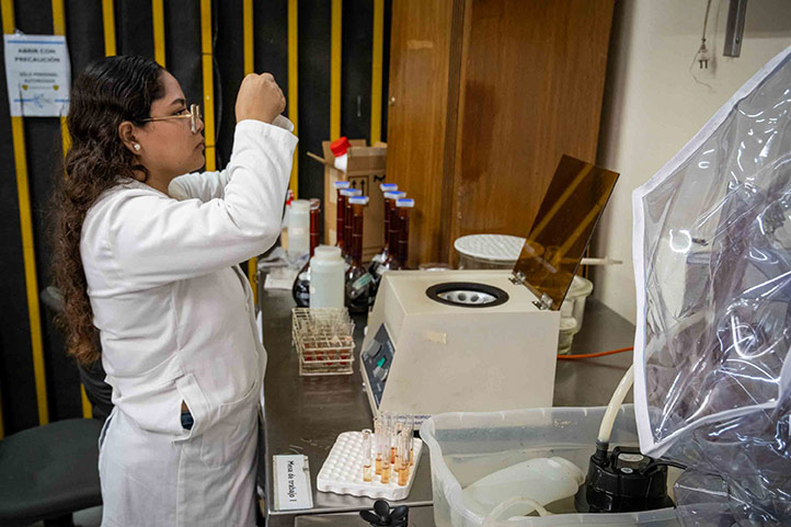 Programa Delfín en la UV: oportunidad para iniciarse en investigación
