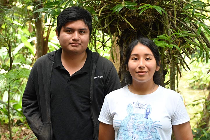 Estudiantes de Oaxaca y Perú realizan movilidad en Orquidario UV