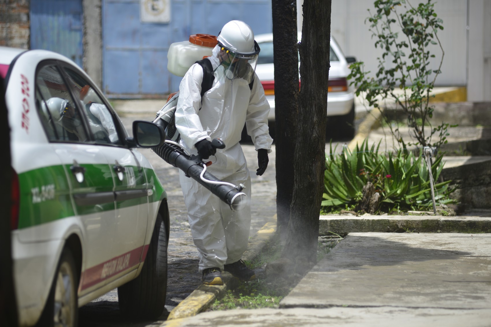 Fumigan y escombran casa de mujer con plaga de pulgas