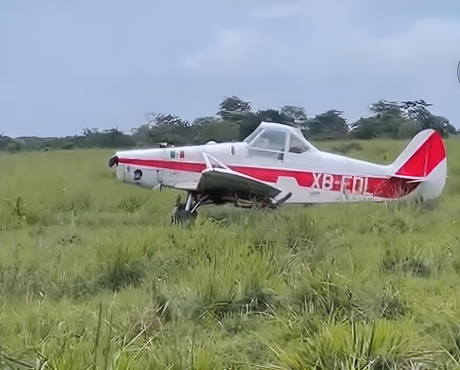 Avioneta aterriza de emergencia en Tlalixcoyan, no hay heridos