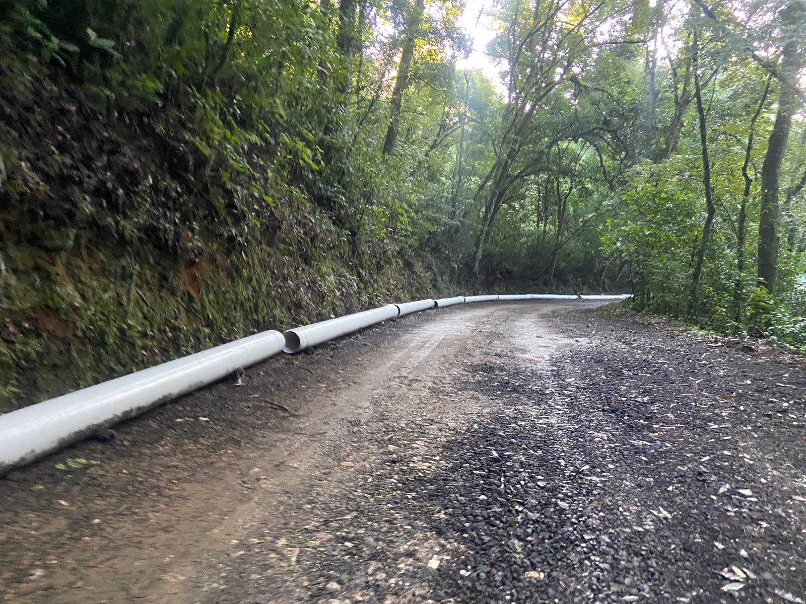 Área Natural Protegida La Martinica en Banderilla amenazada por obras urbanas