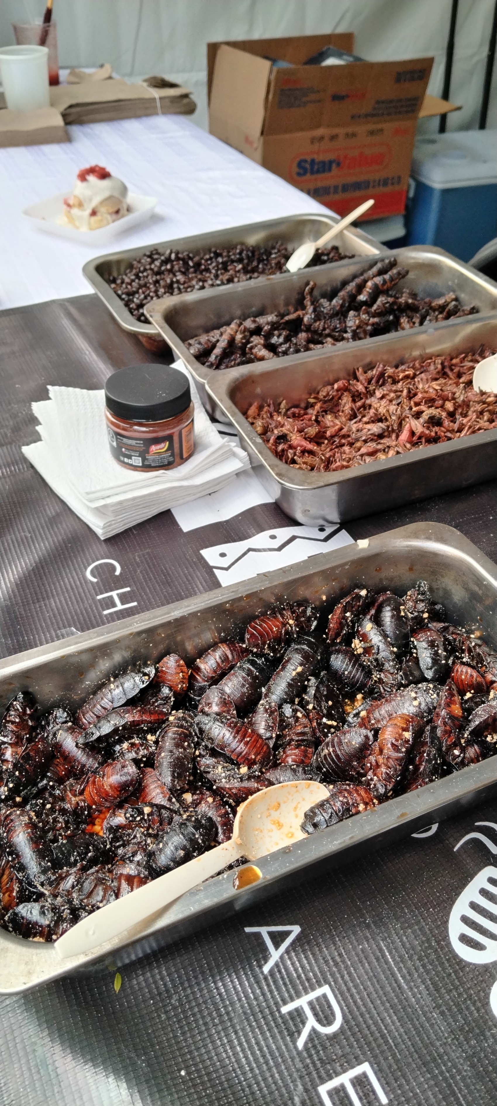 Prueba el exótico pambazo de cucaracha en la Feria del Pambazo Xalapa 2024