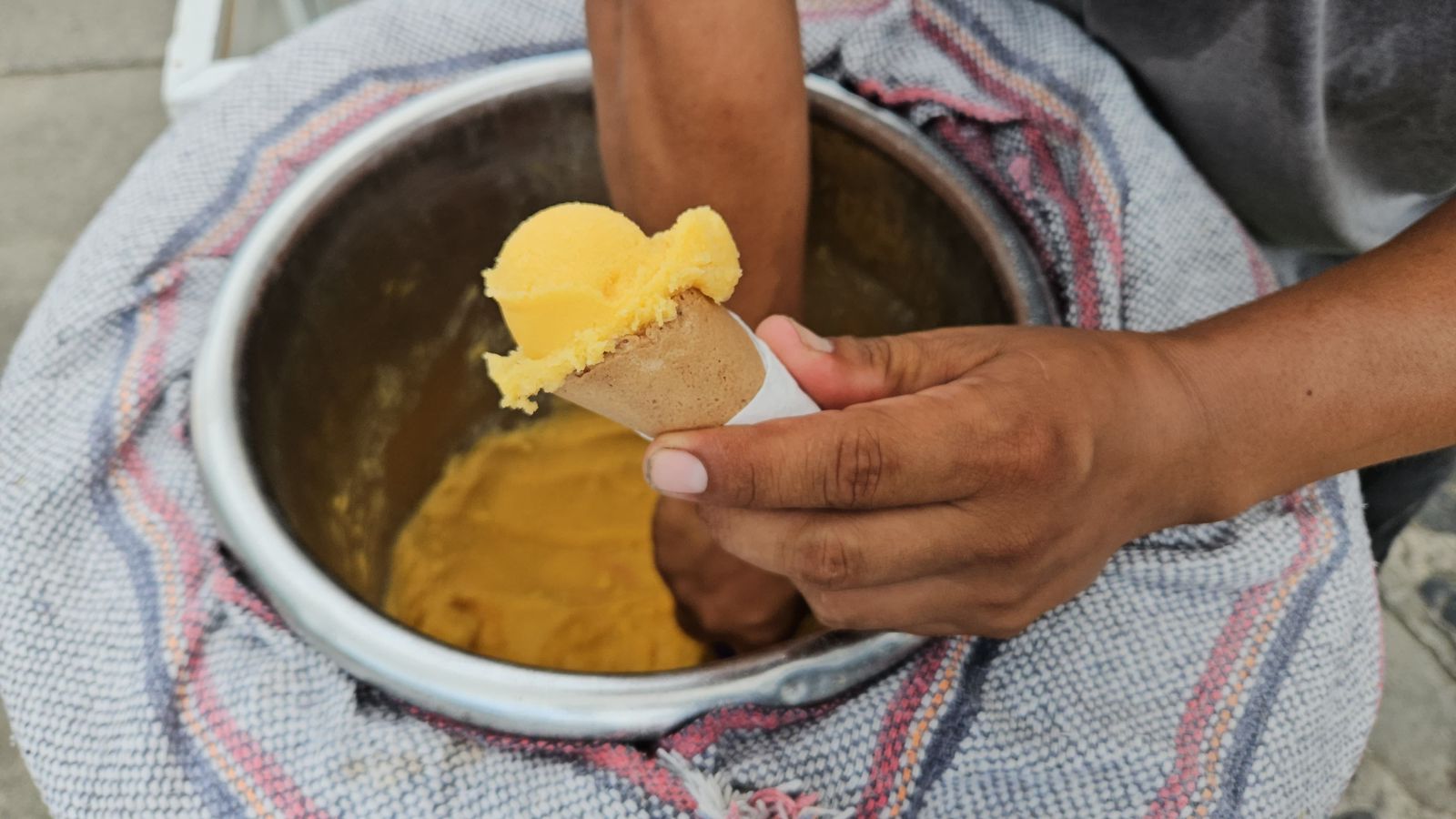 El Jobo pinta de amarillo el norte veracruzano