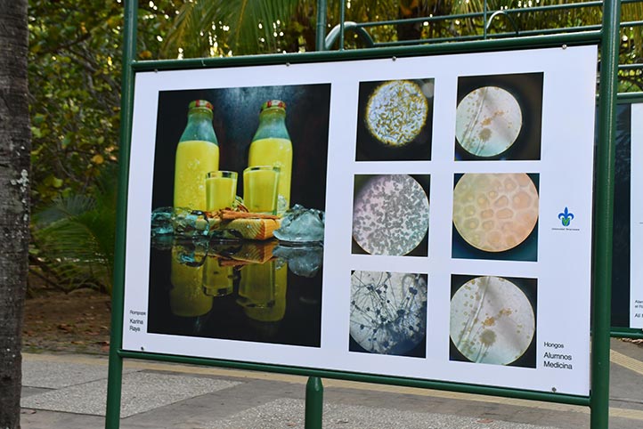 Región Veracruz inauguró Corredor Artístico Universitario