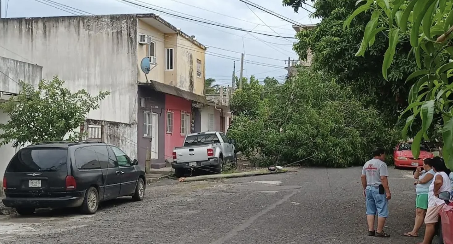Hay arboles caídos sobre carros por viento del norte en Veracruz-Boca Del Río