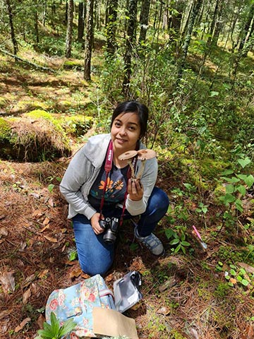 Egresada UV registró nueva especie de hongo del género Agaricus