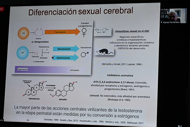 UV realizó Minisimposio sobre cerebro sexual