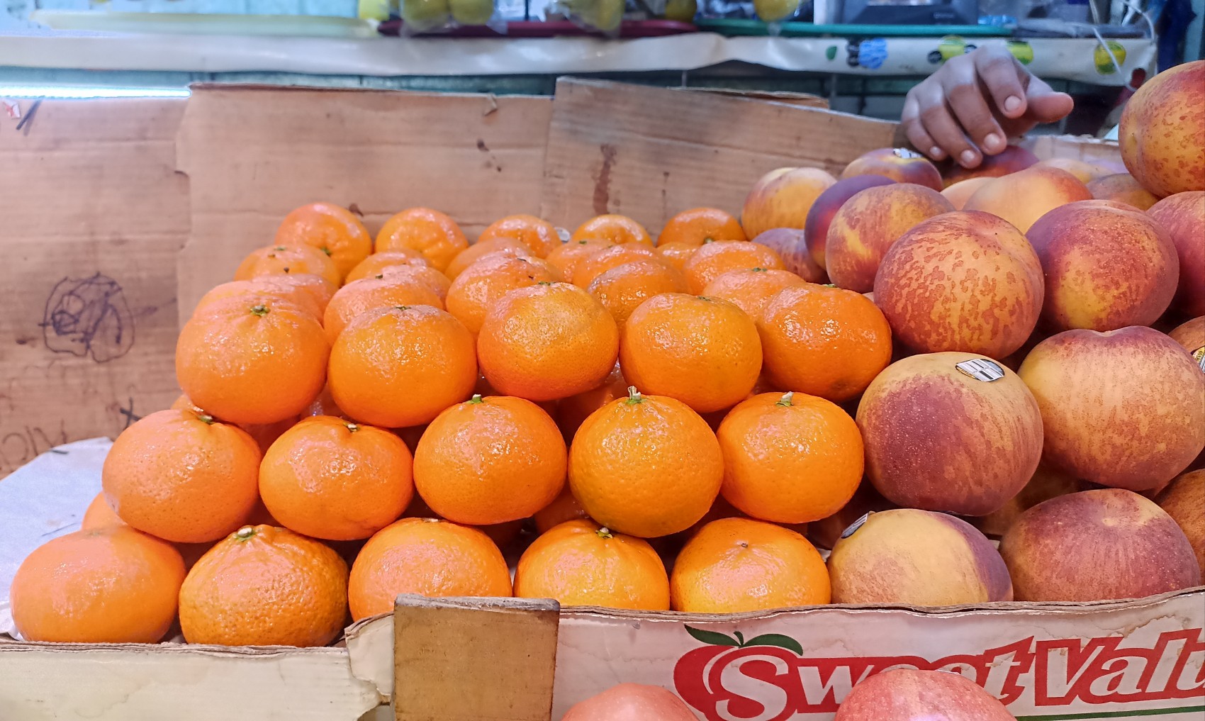 Se cotiza el kilo de mandarina chilena hasta en 110 pesos en mercados de Veracruz