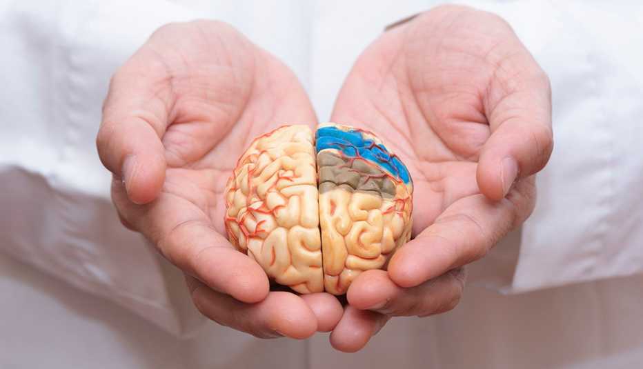 Rompecabezas y crucigramas para mantener al cerebro activo, especialmente en casos de alzheimer