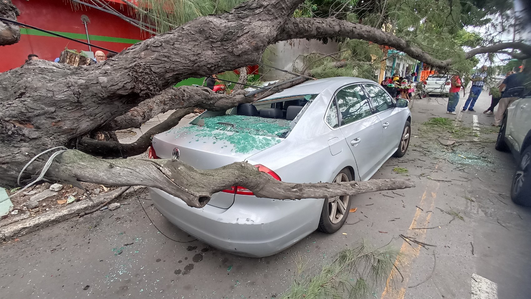 Rachas de viento provocan caída de árboles sobre vehículos y moto en la zona conurbada; solo se reportan daños materiales