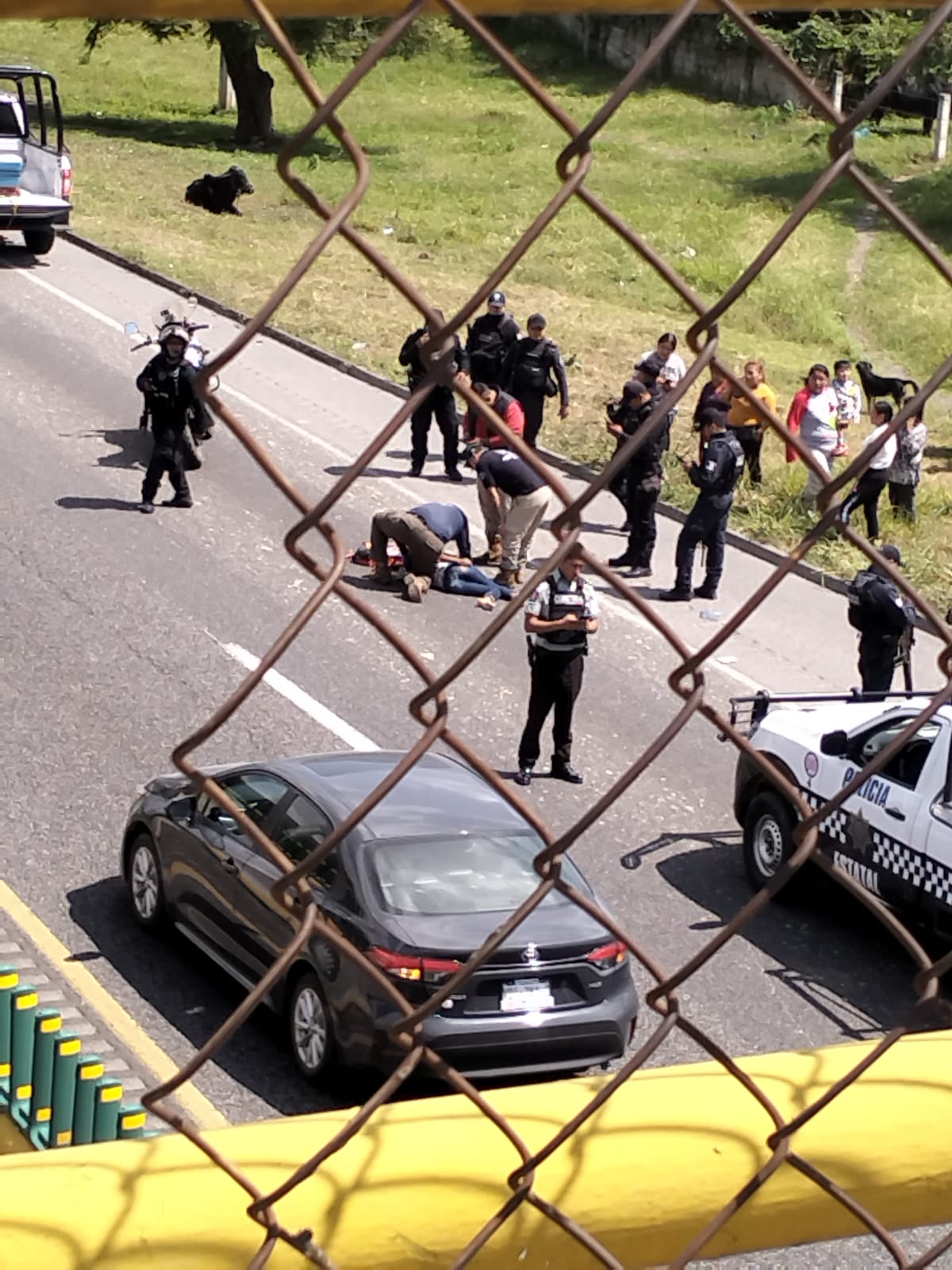 Lanzan a joven mujer de vehículo en movimiento en la autopista 150D Puebla-Orizaba