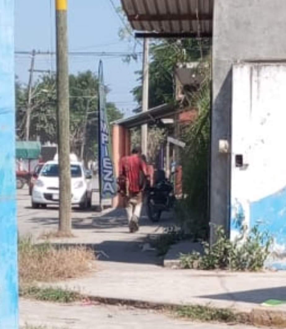 Registran 3 casos de personas comiendo restos de perros y gatos en Veracruz
