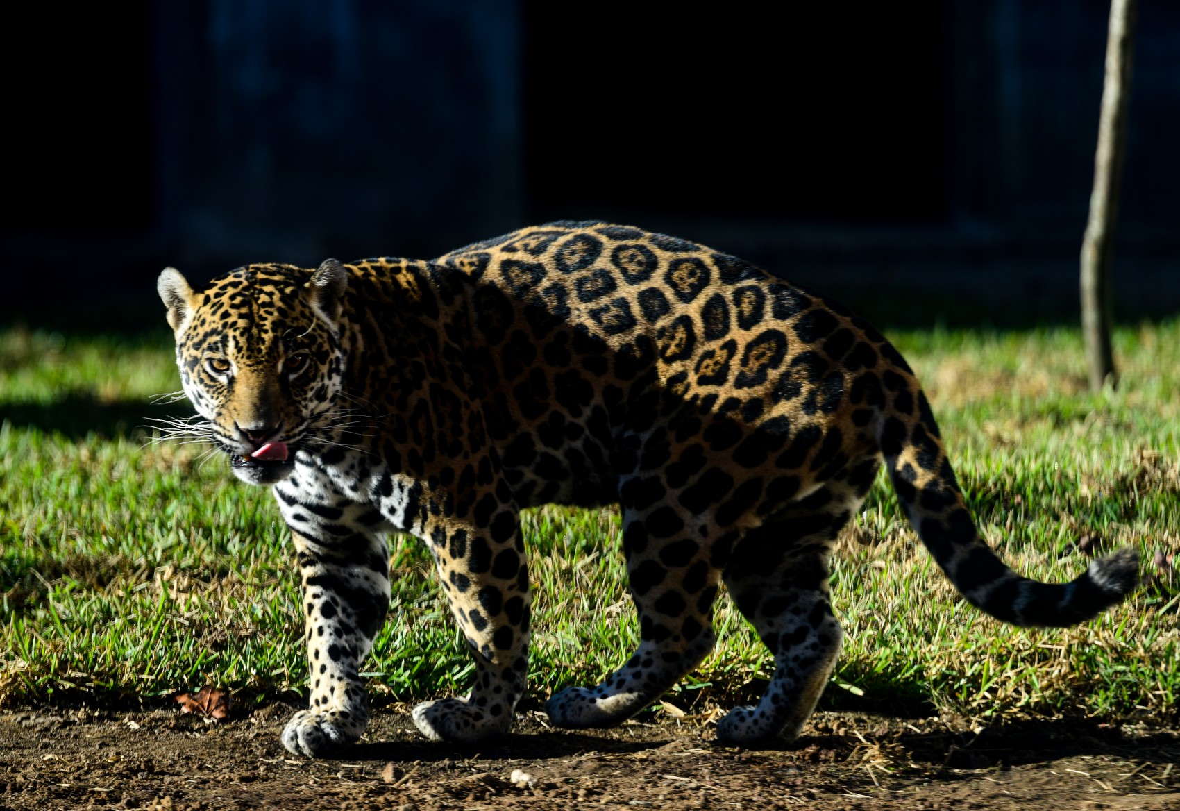 Con un costo de 95 mdp, inauguran el Parque Naturalia en Xalapa