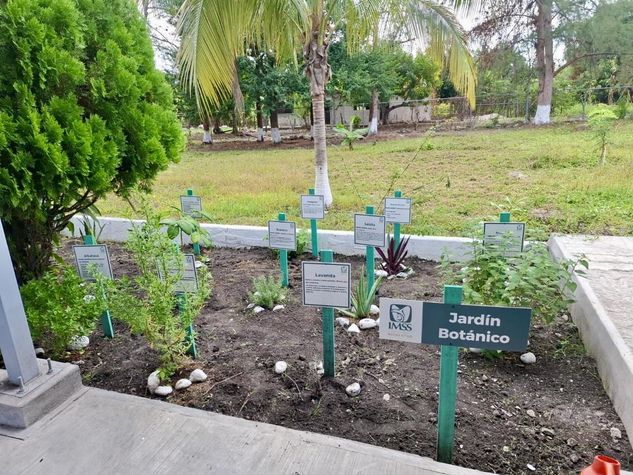 Reconocen a DIF Emiliano Zapata por impulso a la sana alimentación y promoción de la salud