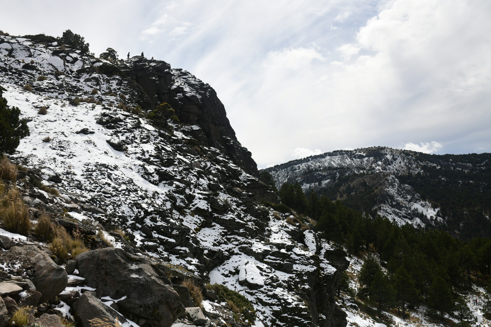 Cae la primera nevada de la temporada en el Cofre de Perote