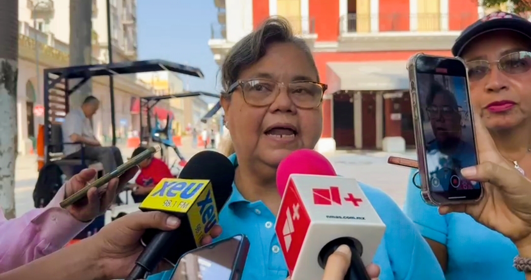 Reportan extravío de mascotas en Veracruz puerto por quema de pirotecnia en las fiestas decembrinas