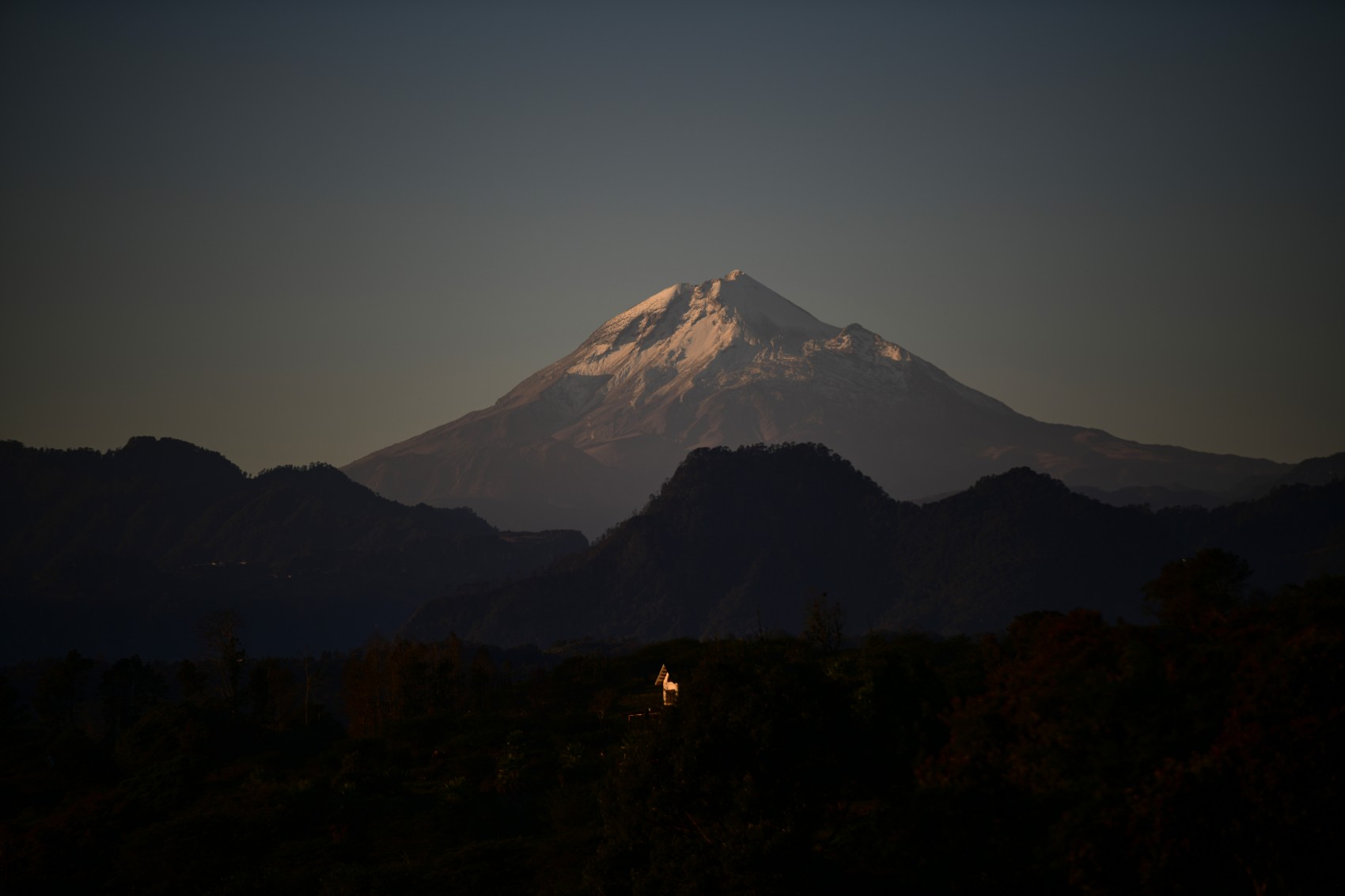 Reforestar único recurso para aminorar efectos del cambio climático en el Pico de Orizaba: Claudia Sheinbaum