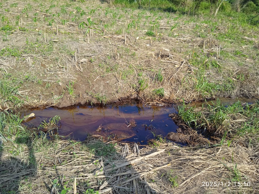 Derrame en ducto de Pemex causa afectaciones a 200 familias de Texistepec