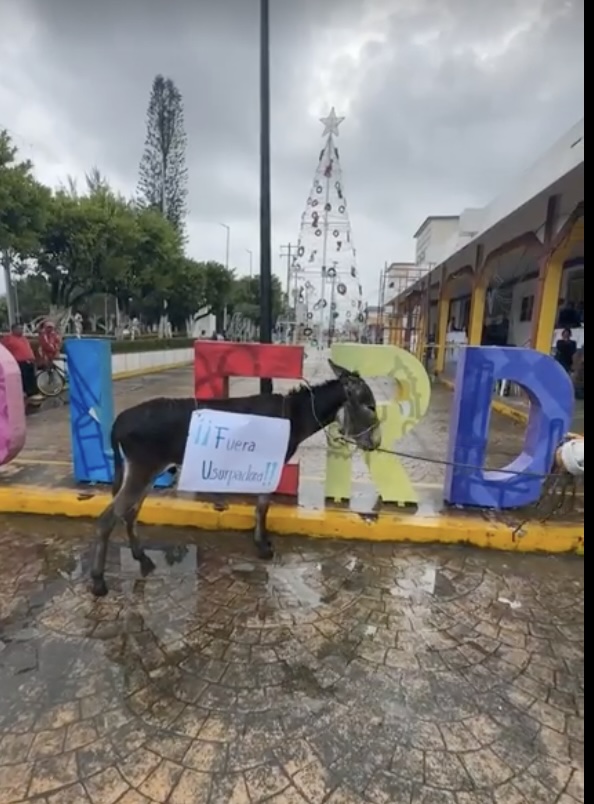 En Lerdo de Tejada toman el Palacio Municipal para exigir la toma de protesta de Fabián Cárdenas como alcalde