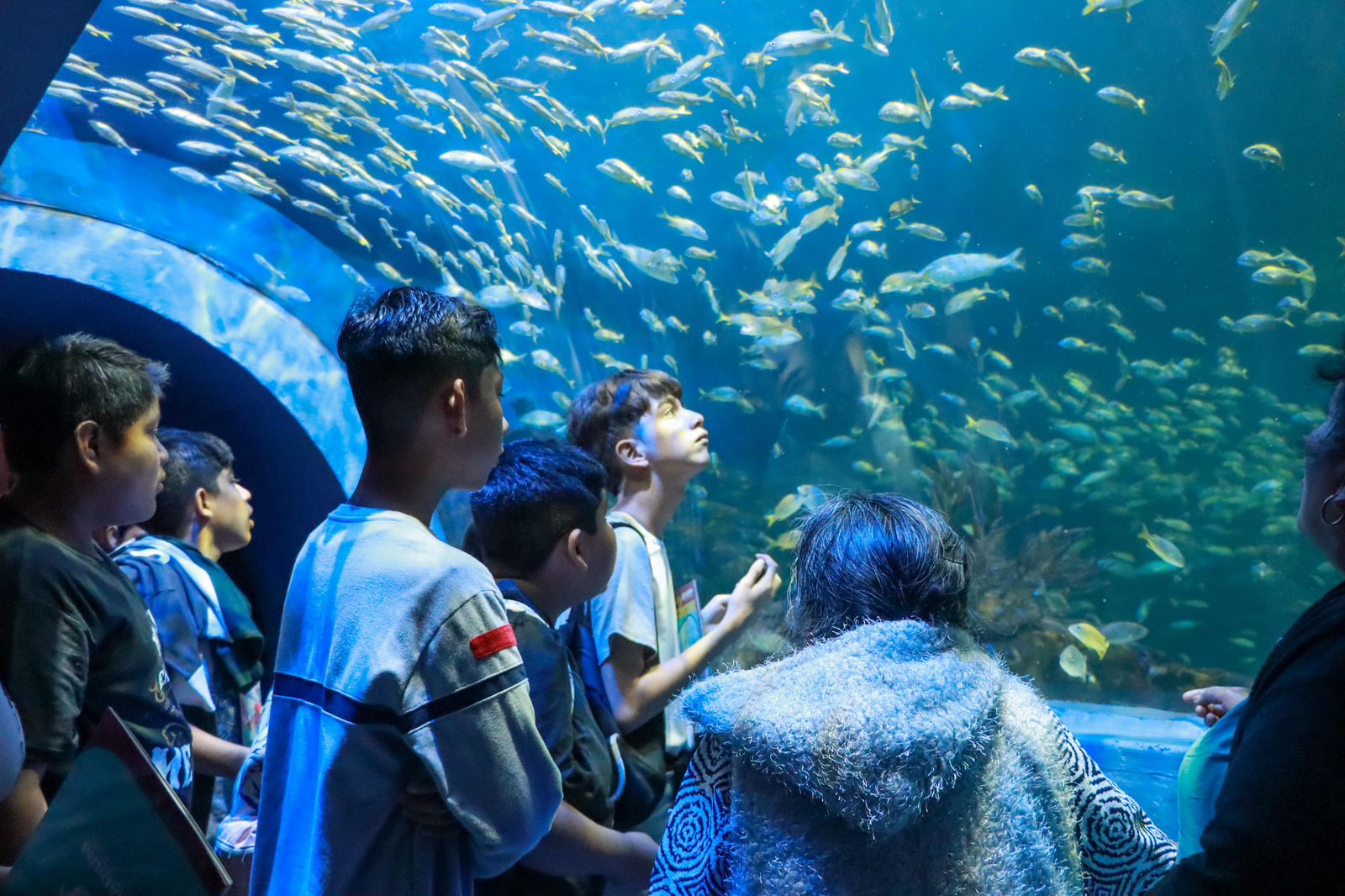 Rocío Nahle: Empresa encargada de remodelación del Aquarium debe reparar deficiencias detectadas