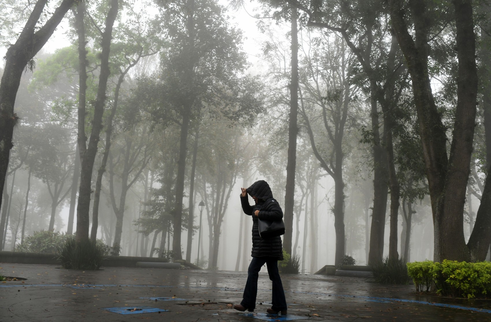 Frente Frío 22: Así serán las temperaturas mínimas este sábado en Veracruz