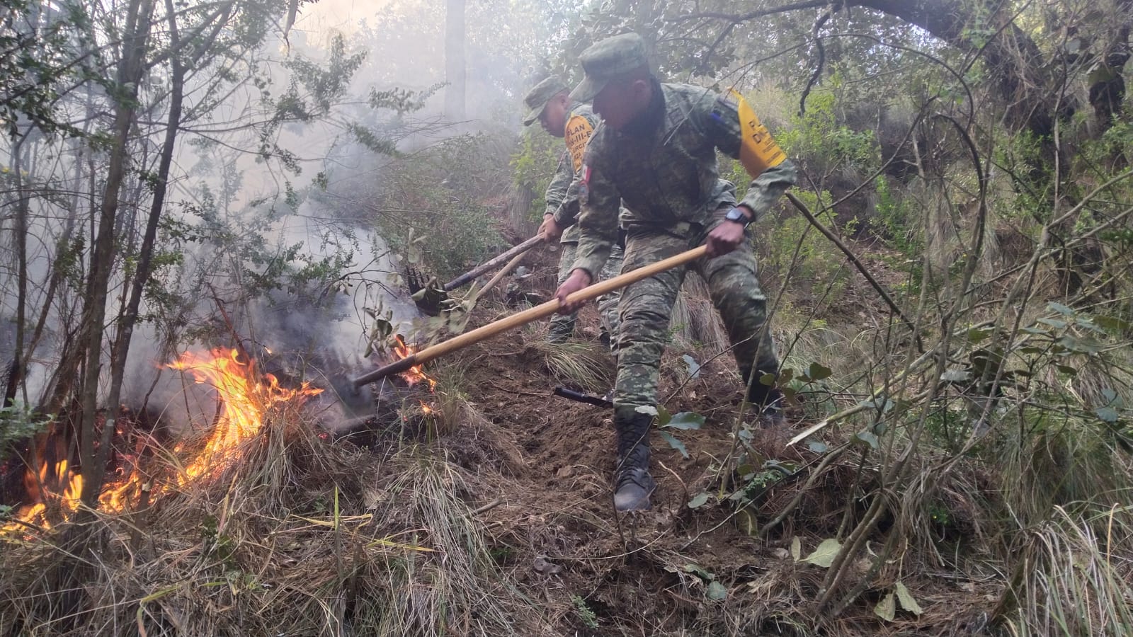 Incendio forestal en 111 Batallón de Perote afectó 1 hectárea