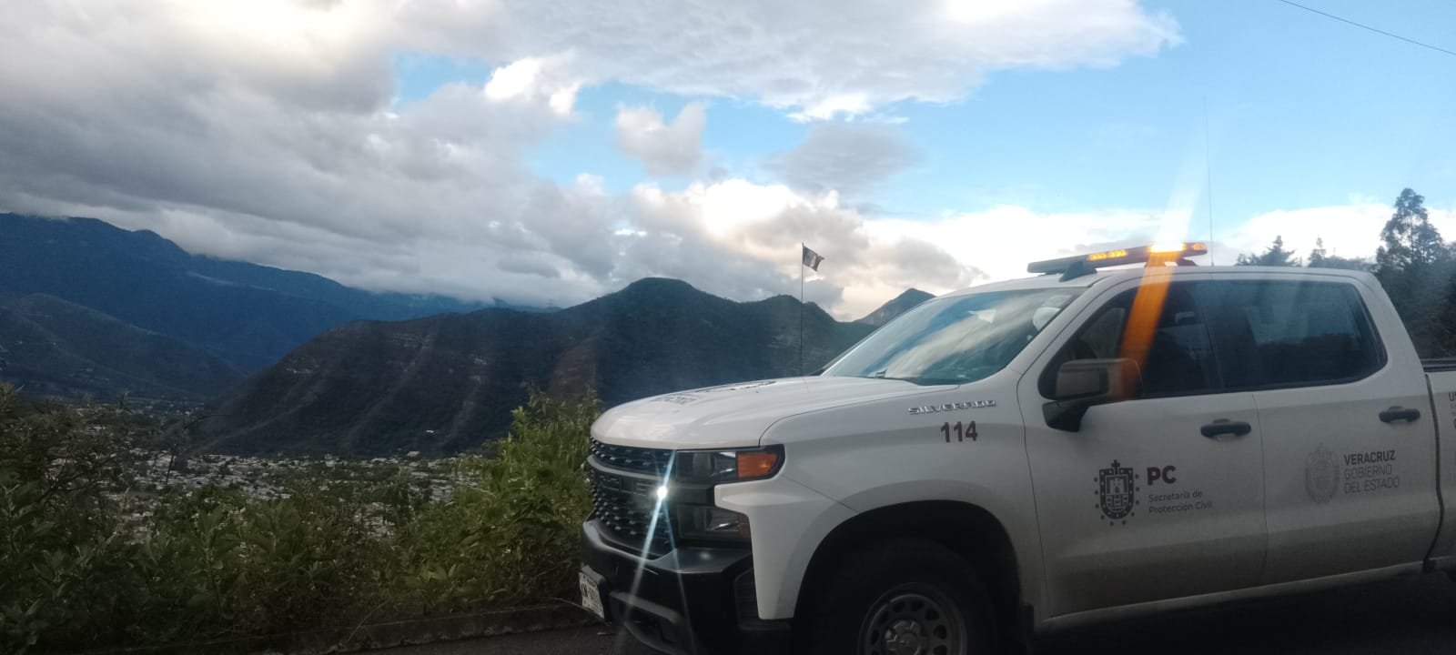 Árboles caídos deja este domingo la surada en el valle de Orizaba