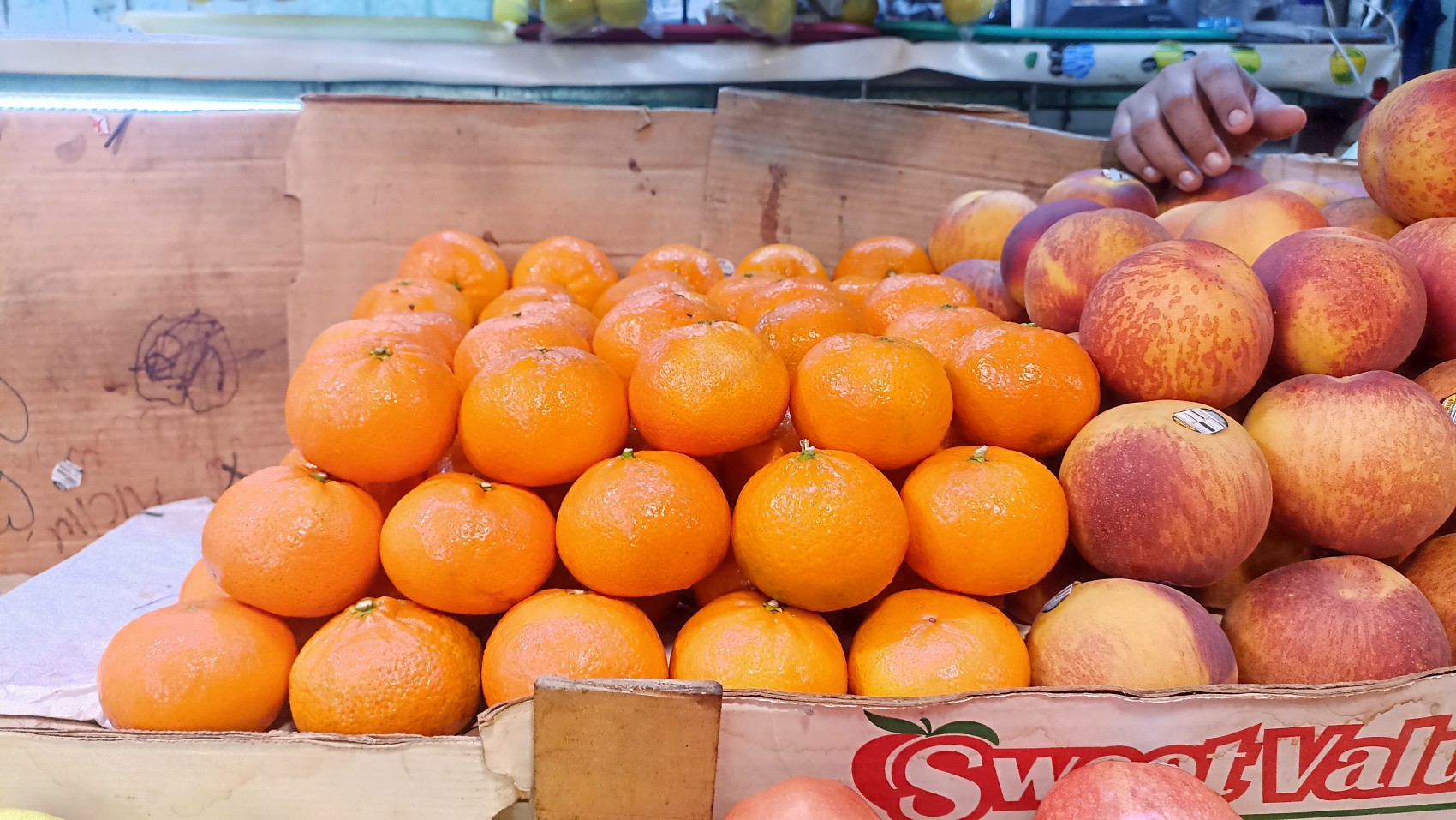 Pronostican un primer trimestre inflacionario por alza de alimentos, energéticos y decisiones de Trump