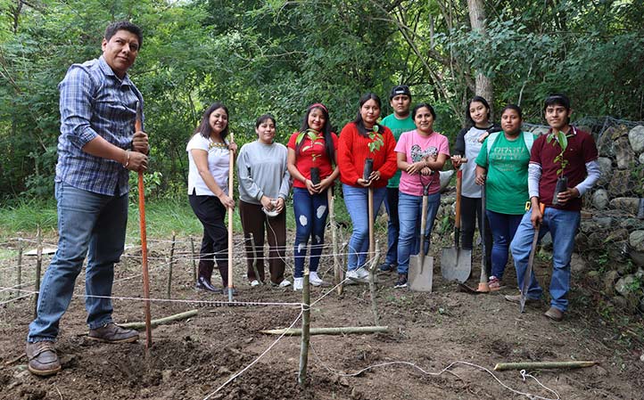 Alumnado de UV-Intercultural Huasteca desarrolló cultivo de canela