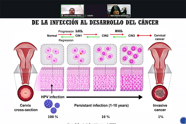 Vesícula extracelular posibilita diagnóstico y tratamiento del Cacu