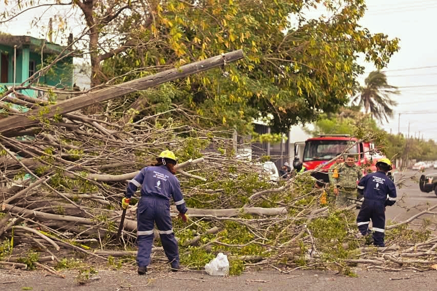 PC recibe 113 reportes por viento violento registrado en Veracruz el martes pasado