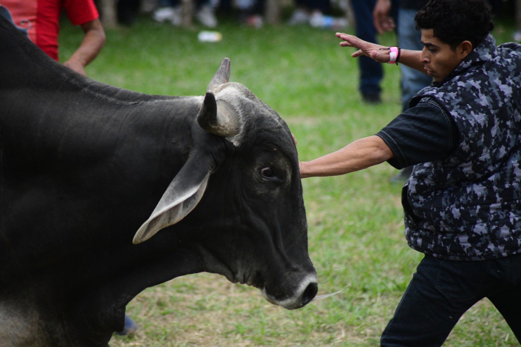 Corrida de toros en Xico restringe ingreso a menores, pero solo con cartel y circular informativa