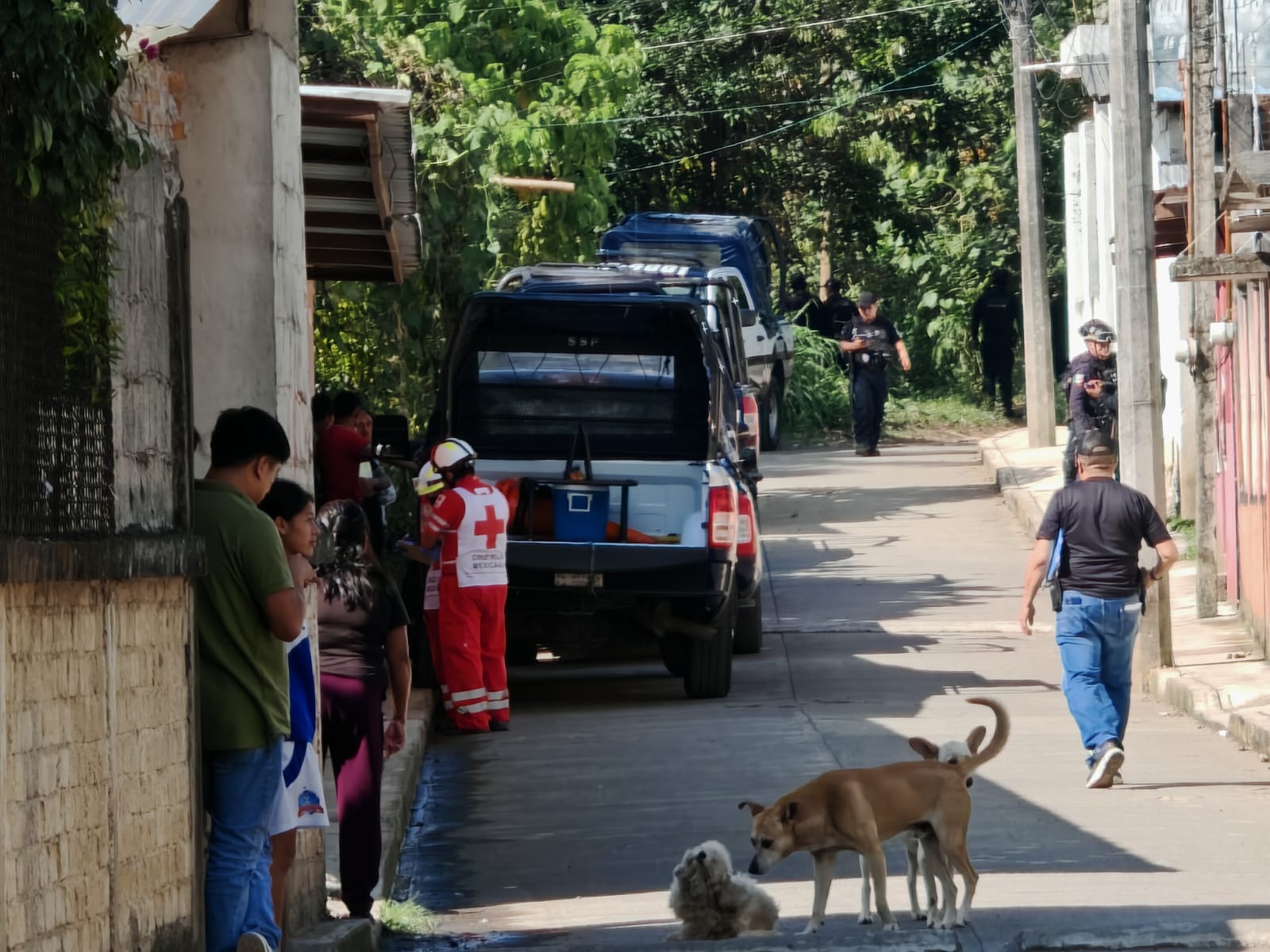 Abaten a sujeto que agredió a su familia e incendio su vivienda en Rafael Delgado